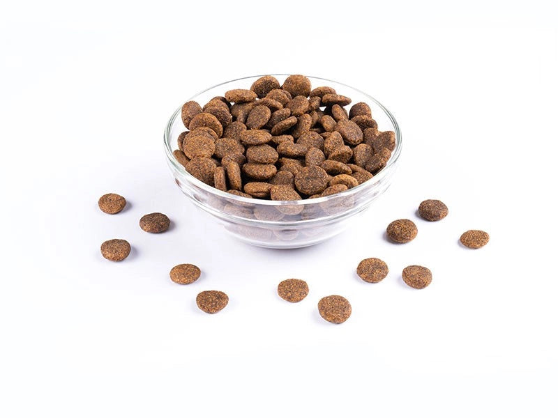 Starvita torrfoder för vuxna hundar i och utanför en glasskål
