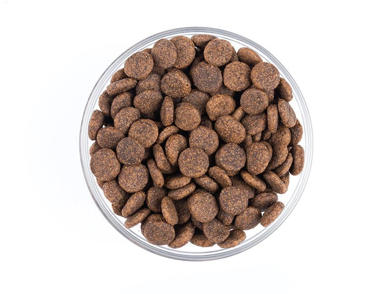 Skål med Starvita torrfoder för vuxna hundar med nötkött och fisk