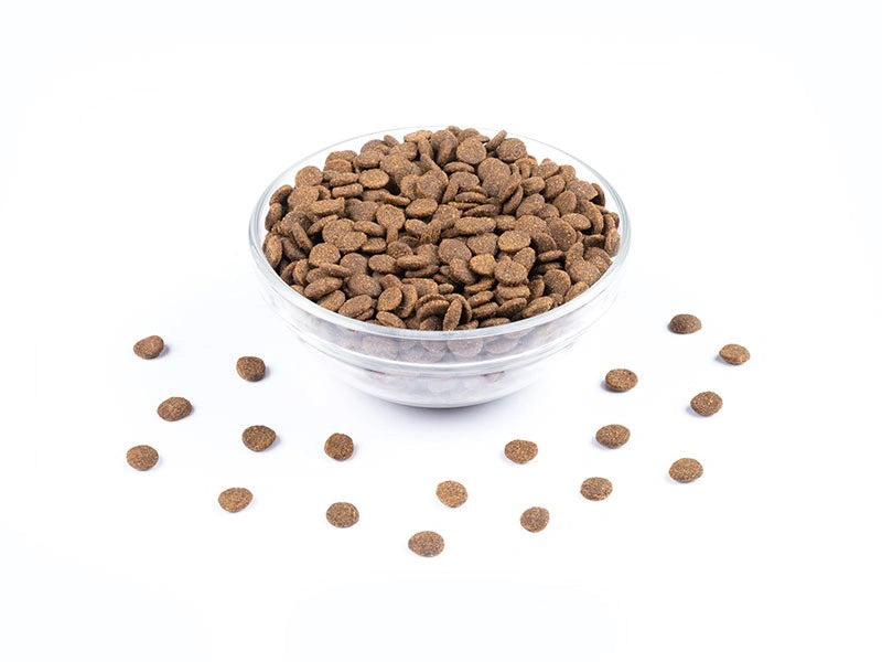 Skål med torrfoder för kastrerade katter från Starvita