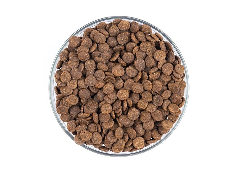 Starvita torrfoder för kastrerade katter i en glasskål