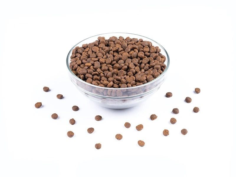 Starvita torrfoder för kattungar i en skål och foder spritt utanför skålen 